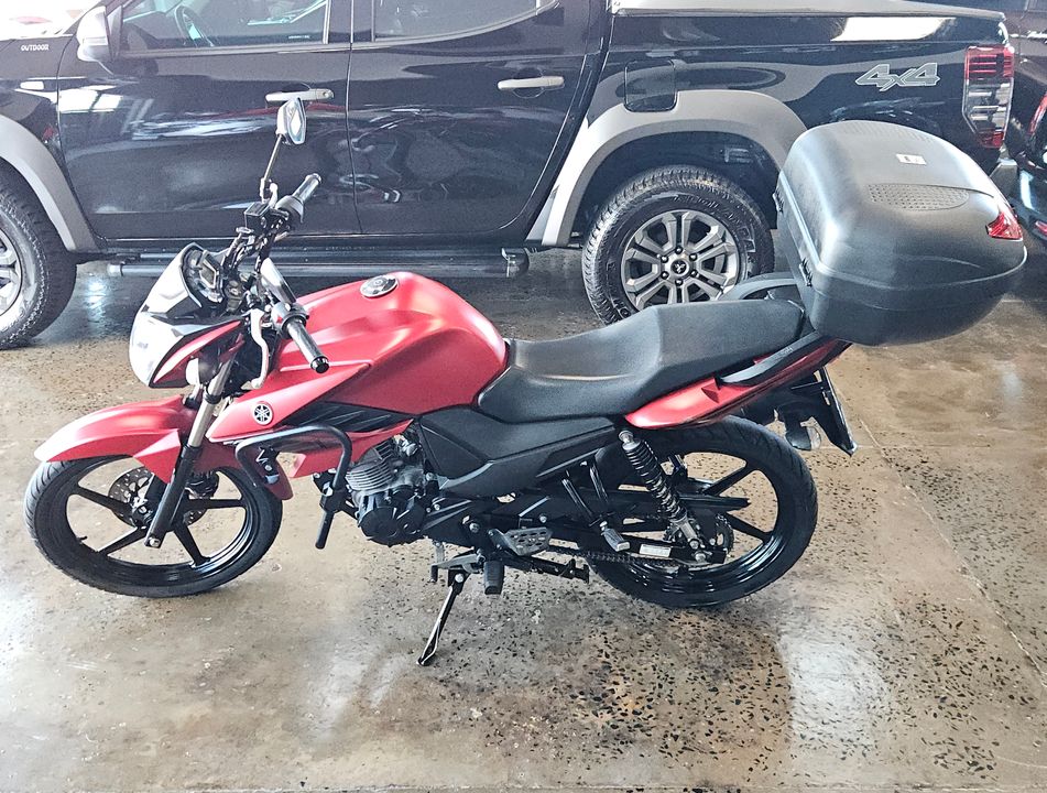 YAMAHA YS 150 FAZER SED/ FLEX