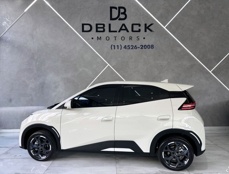 BYD Dolphin Mini (Elétrico)