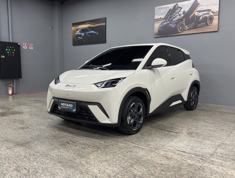 BYD Dolphin Mini (Elétrico)