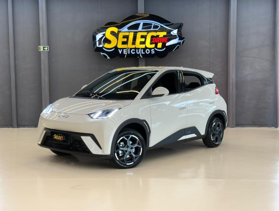 BYD Dolphin Mini (Elétrico)