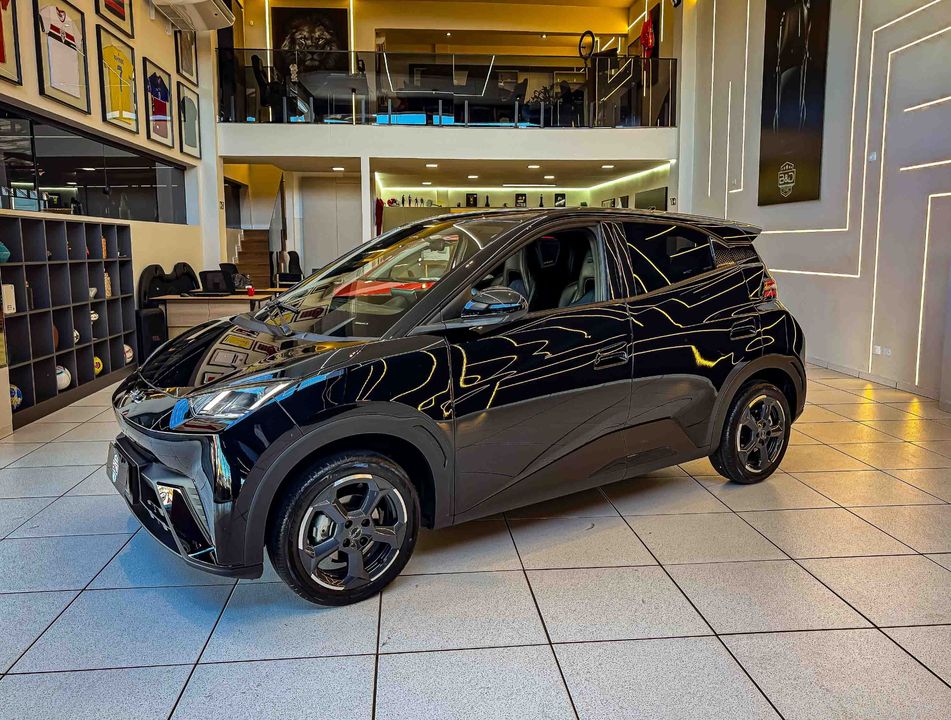 BYD Dolphin Mini (Elétrico)