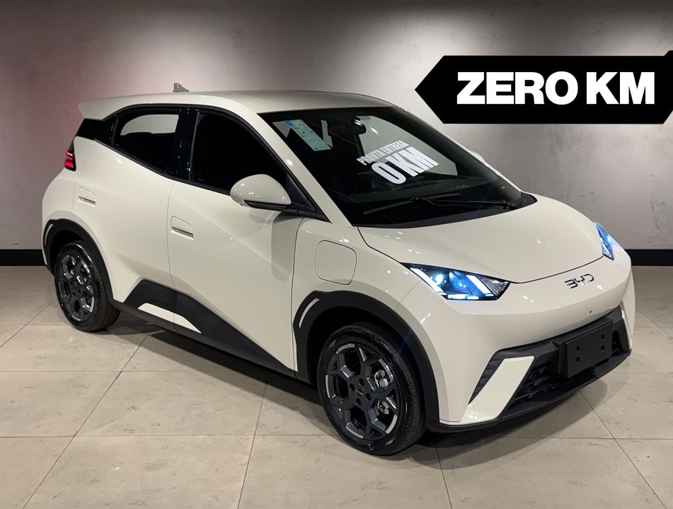 BYD Dolphin Mini (Elétrico)