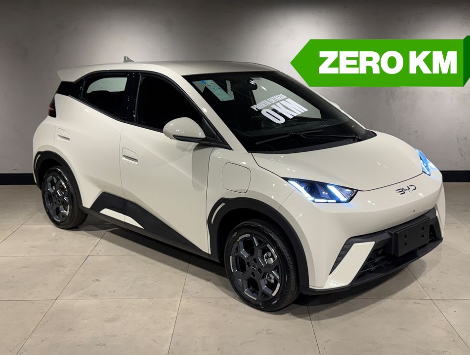 BYD Dolphin Mini (Elétrico)