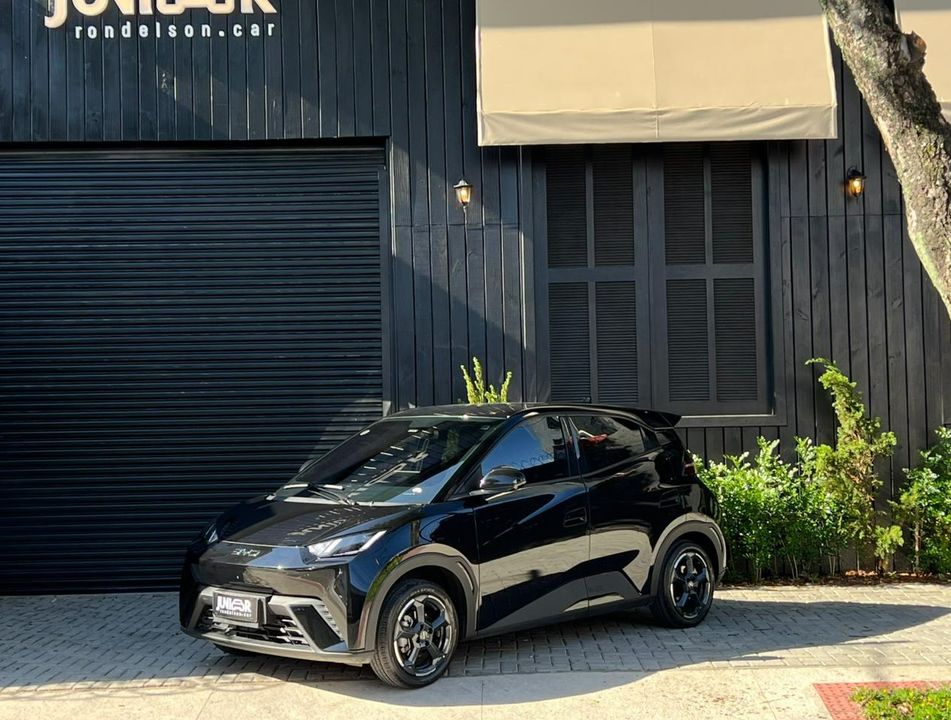 BYD Dolphin Mini (Elétrico)