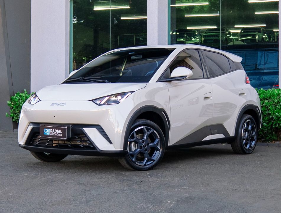 BYD Dolphin Mini (Elétrico)