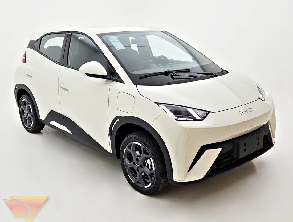 BYD 38 KW ELÉTRICO GS
