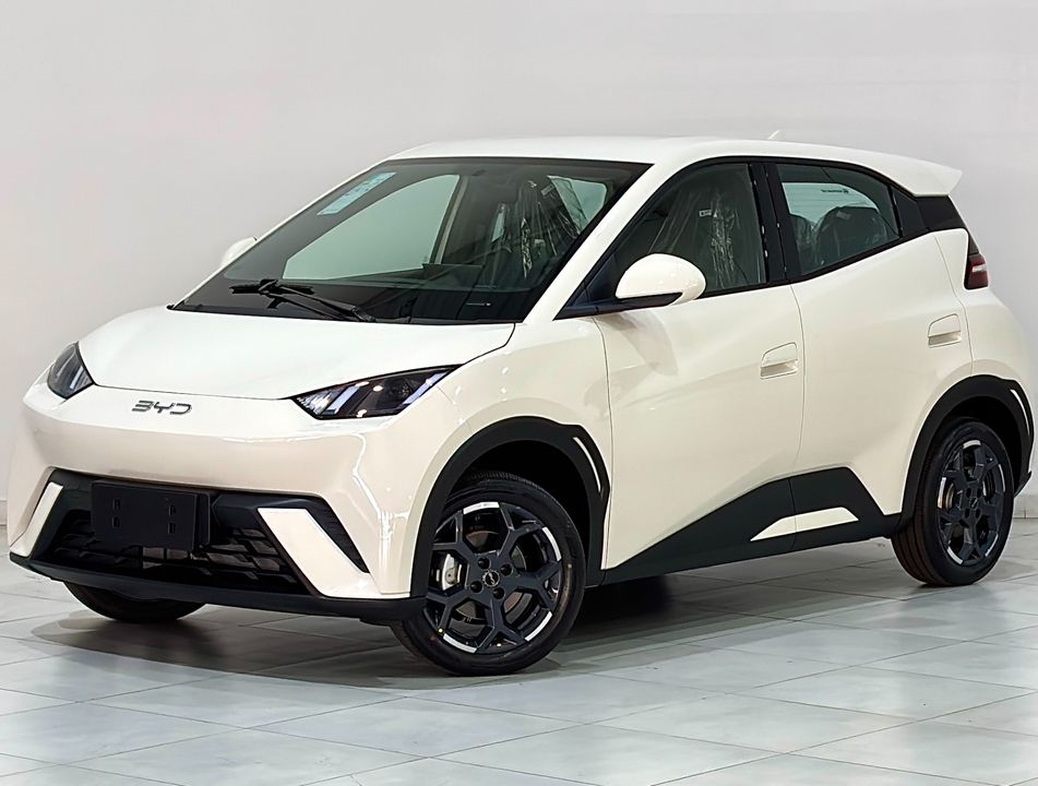 BYD Dolphin Mini (Elétrico)