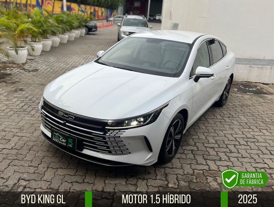 BYD King GL 1.5 16V Aut. (Hibrido)