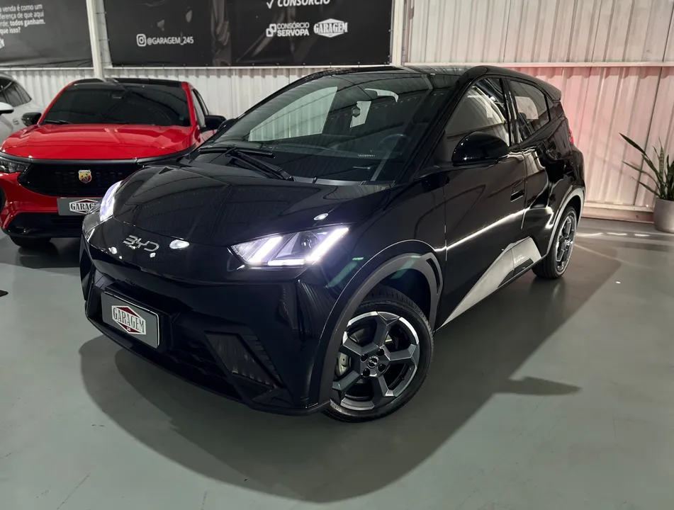BYD Dolphin Mini 2025 à venda