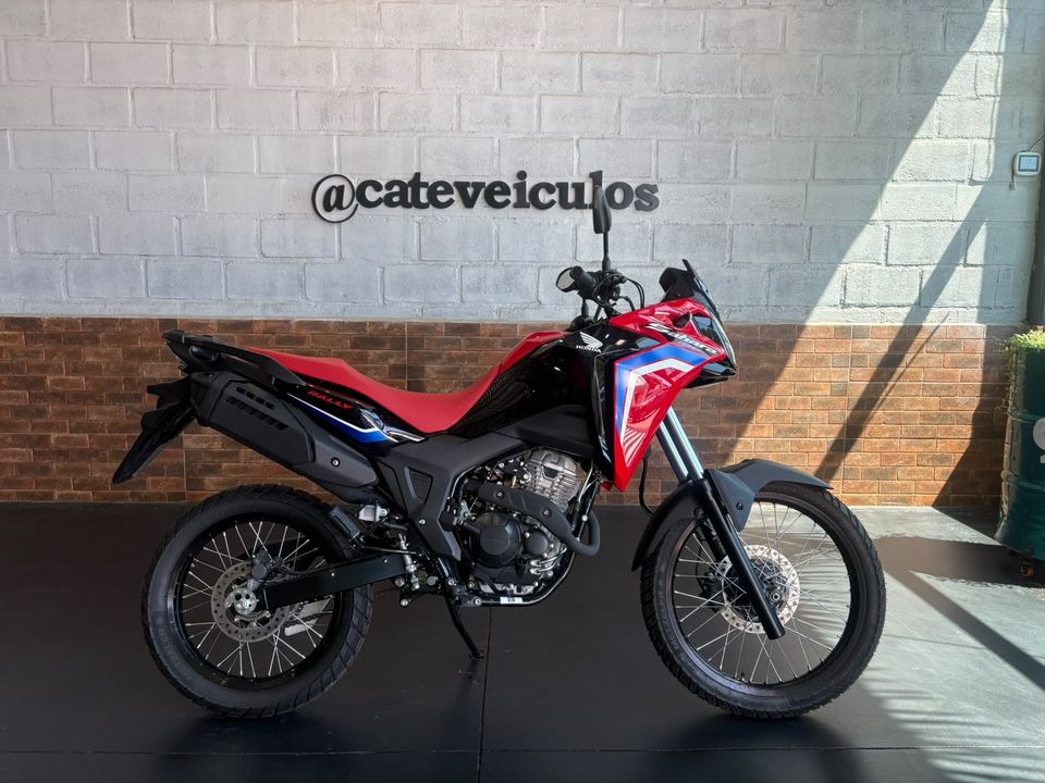 HONDA SAHARA 300 RALLY ABS FLEX